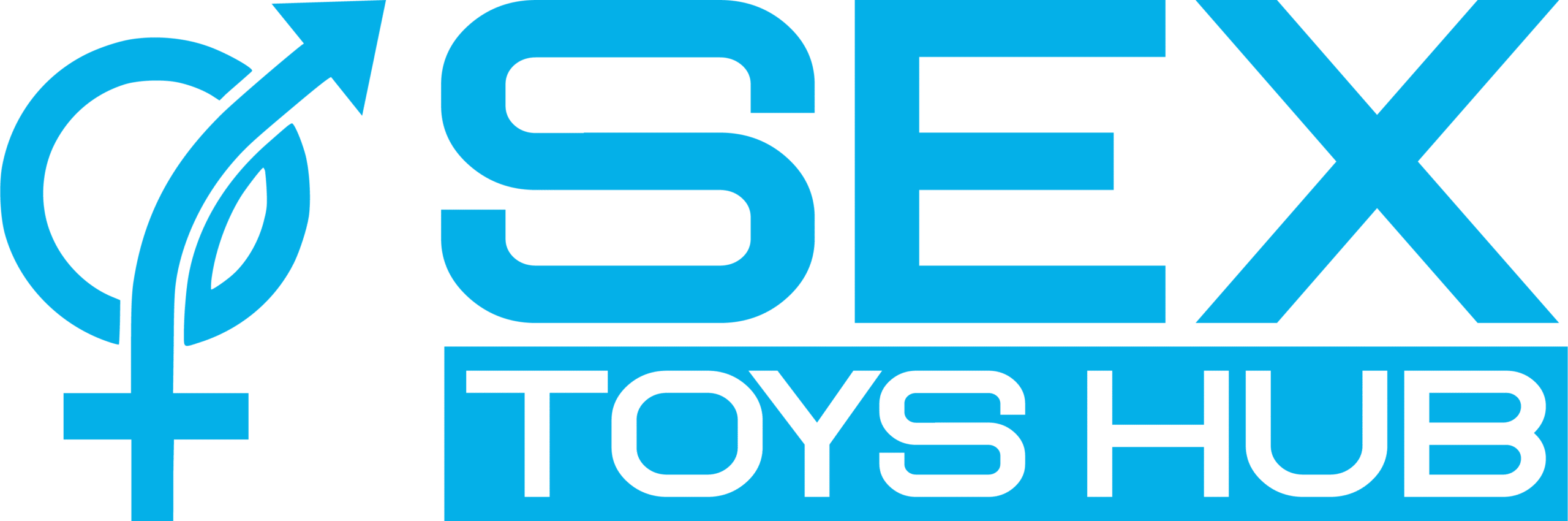 Sex Toys Hub